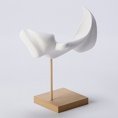 Study Sculpture