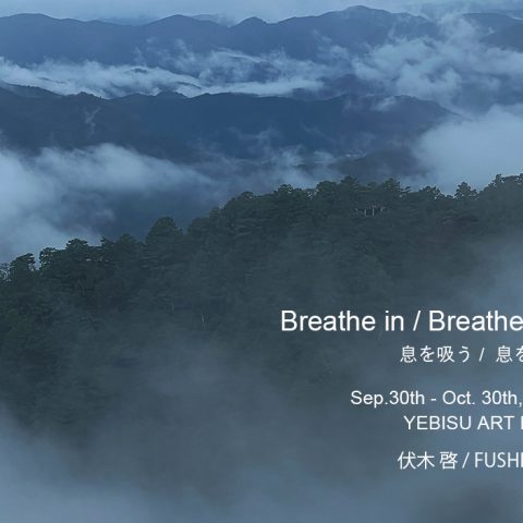 伏木 啓 個展『Breathe in / Breathe out｜息を吸う /  息を吐く』