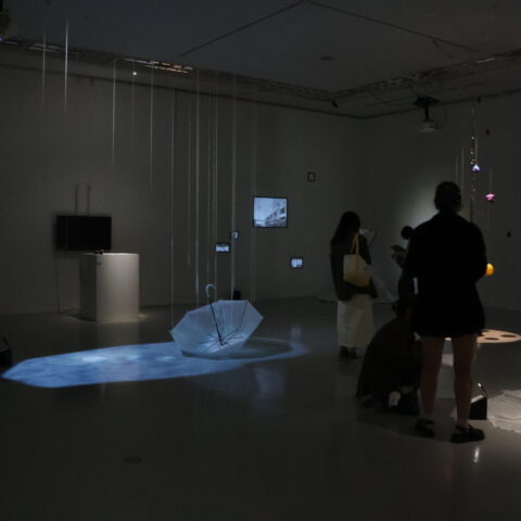 開催報告|「IDO展」