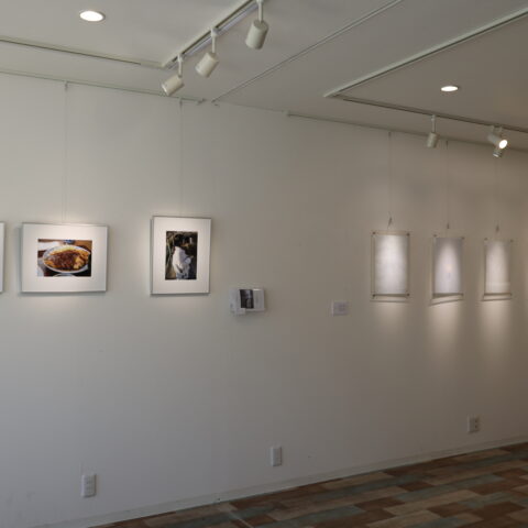 開催報告|「と、りんく展」