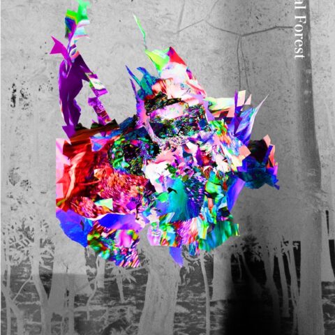 大学院2年岩田直樹個展 「Liminal Forest」のお知らせ